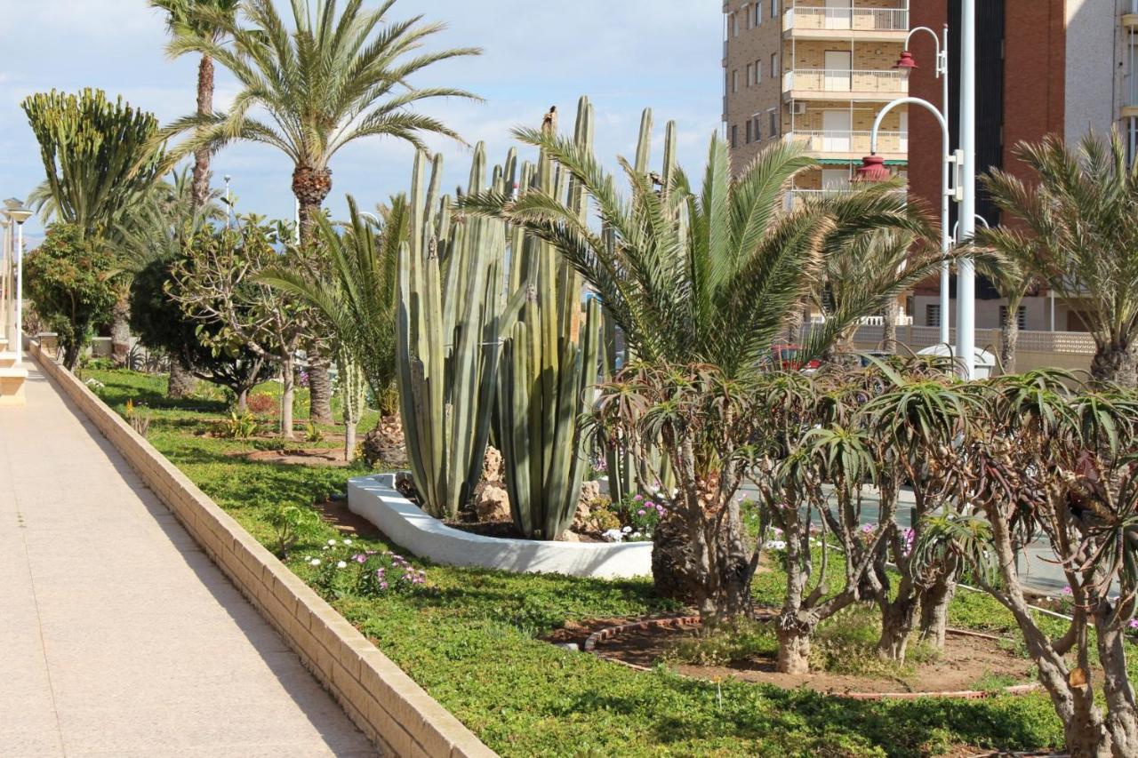 ארנאלס דל סול Apartamento Arenales מראה חיצוני תמונה
